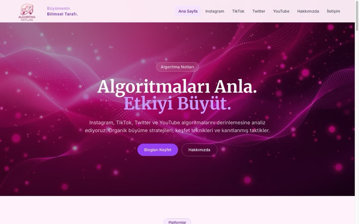 Algoritma Notları web sitesi ekran görüntüsü
