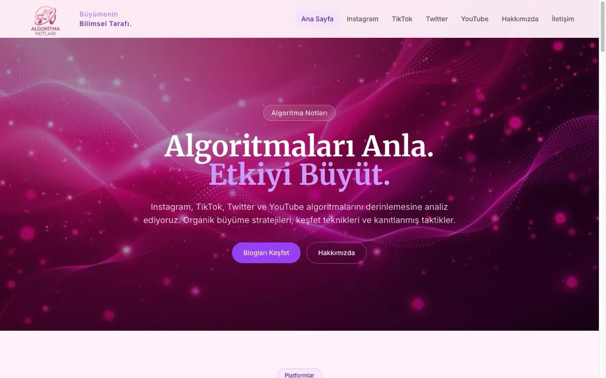 Algoritma Notları web sitesi ekran görüntüsü